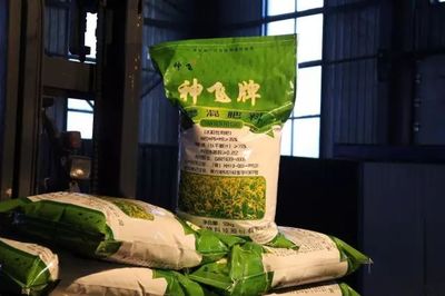 我縣神飛生物科技股份簽訂超千萬元大單，引領復合微生物肥料研發新篇章